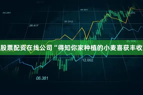 股票配资在线公司“得知你家种植的小麦喜获丰收